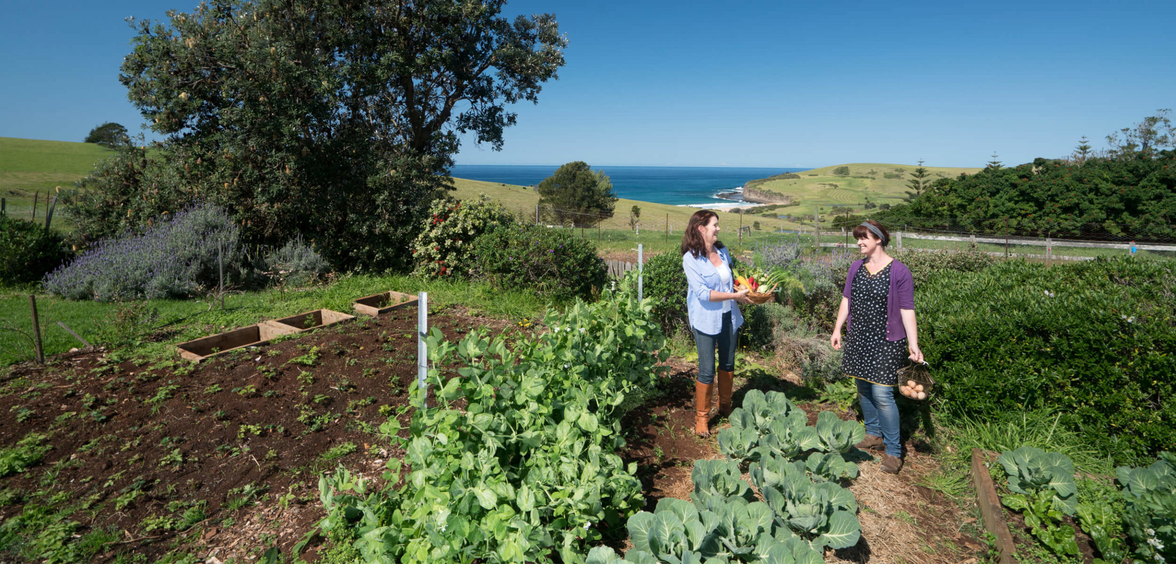 Buena Vista Farm Gerringong