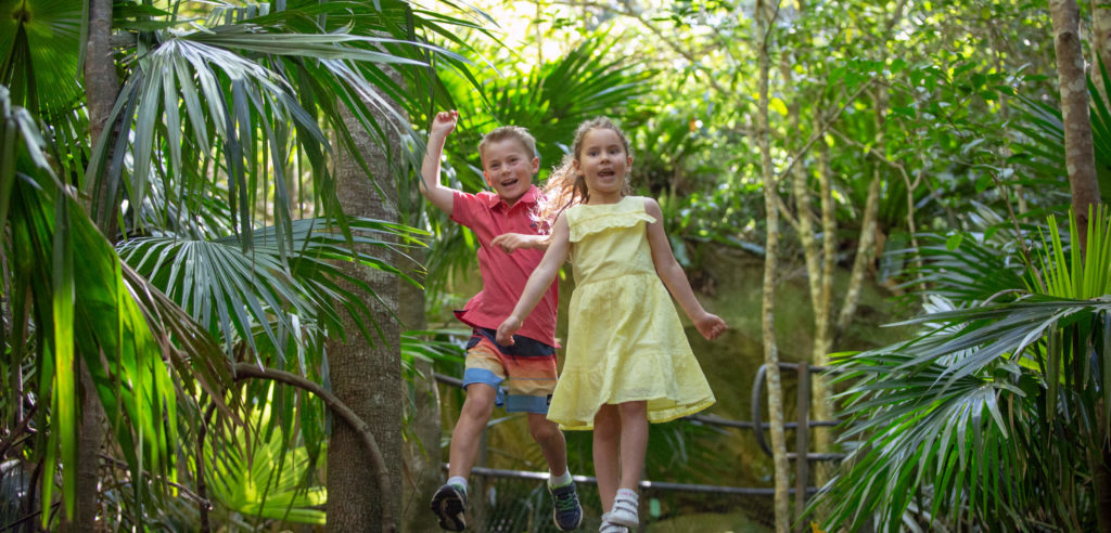 Kids bush walking in the Kiama Region, Photography by Peter Izzard
