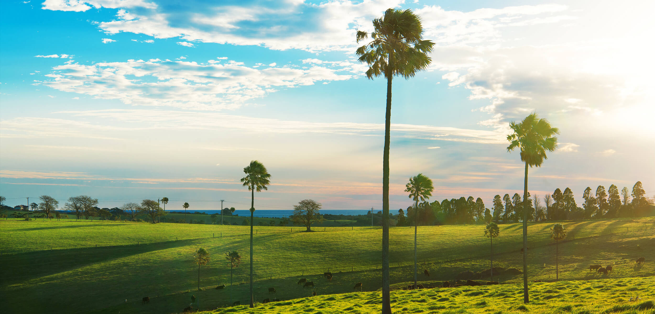 Kiama Region, Photography by Phil Winterton