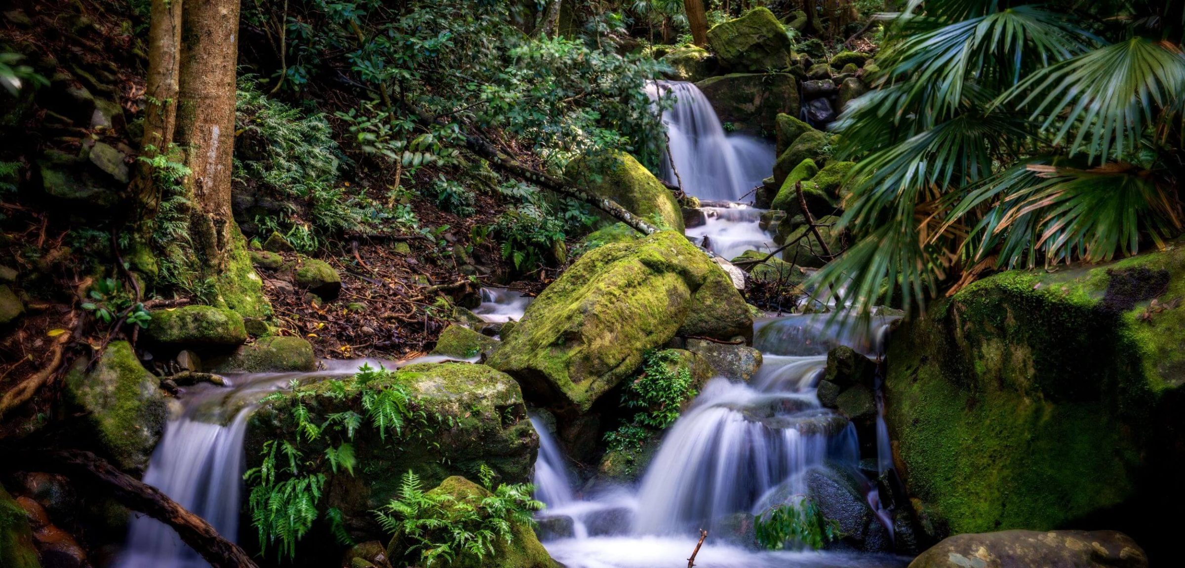 Phil Winterton Photography