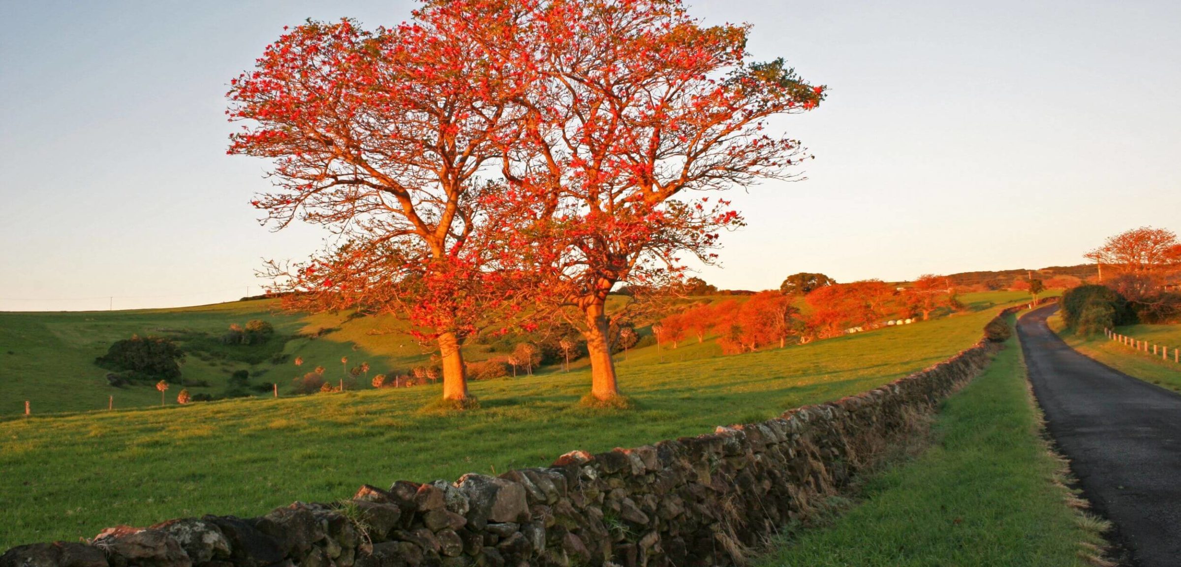 Saddleback Mountain - Historic Dry Stone Walls