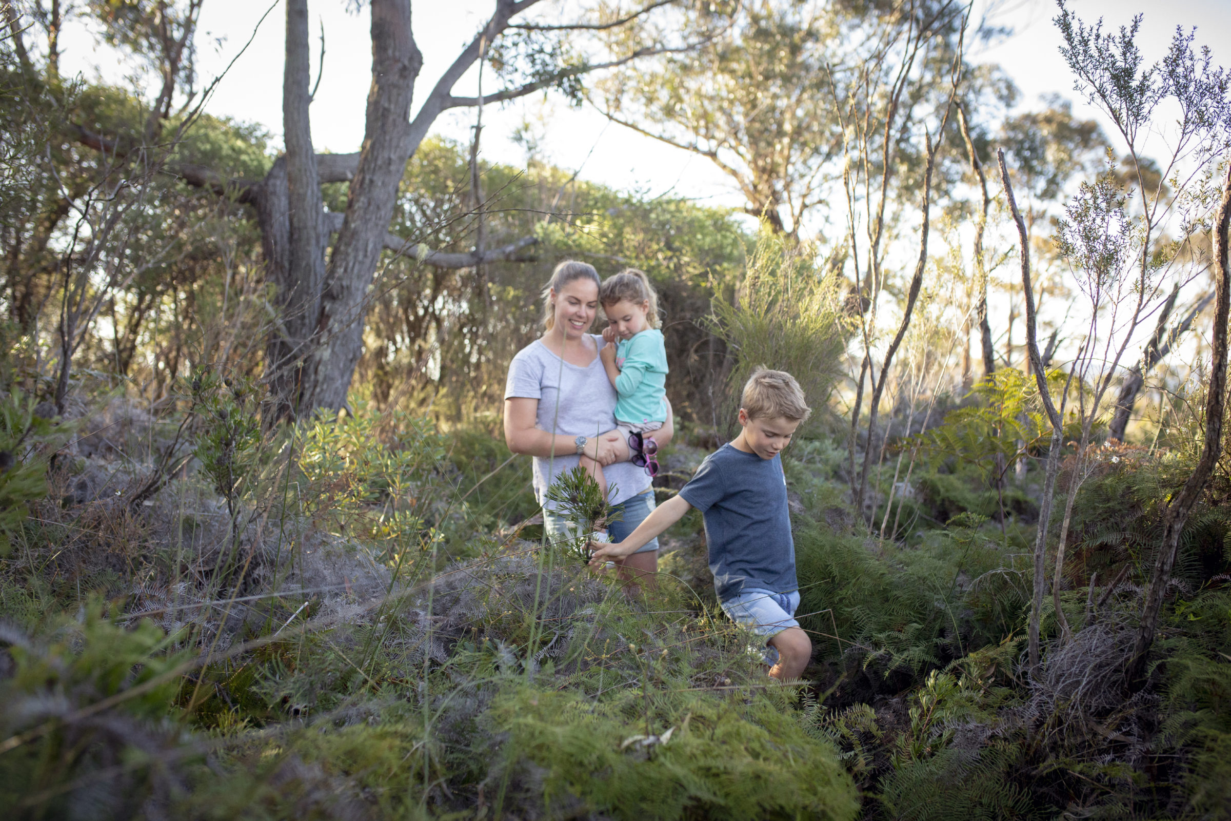 Barren Grounds - Peter Izzard