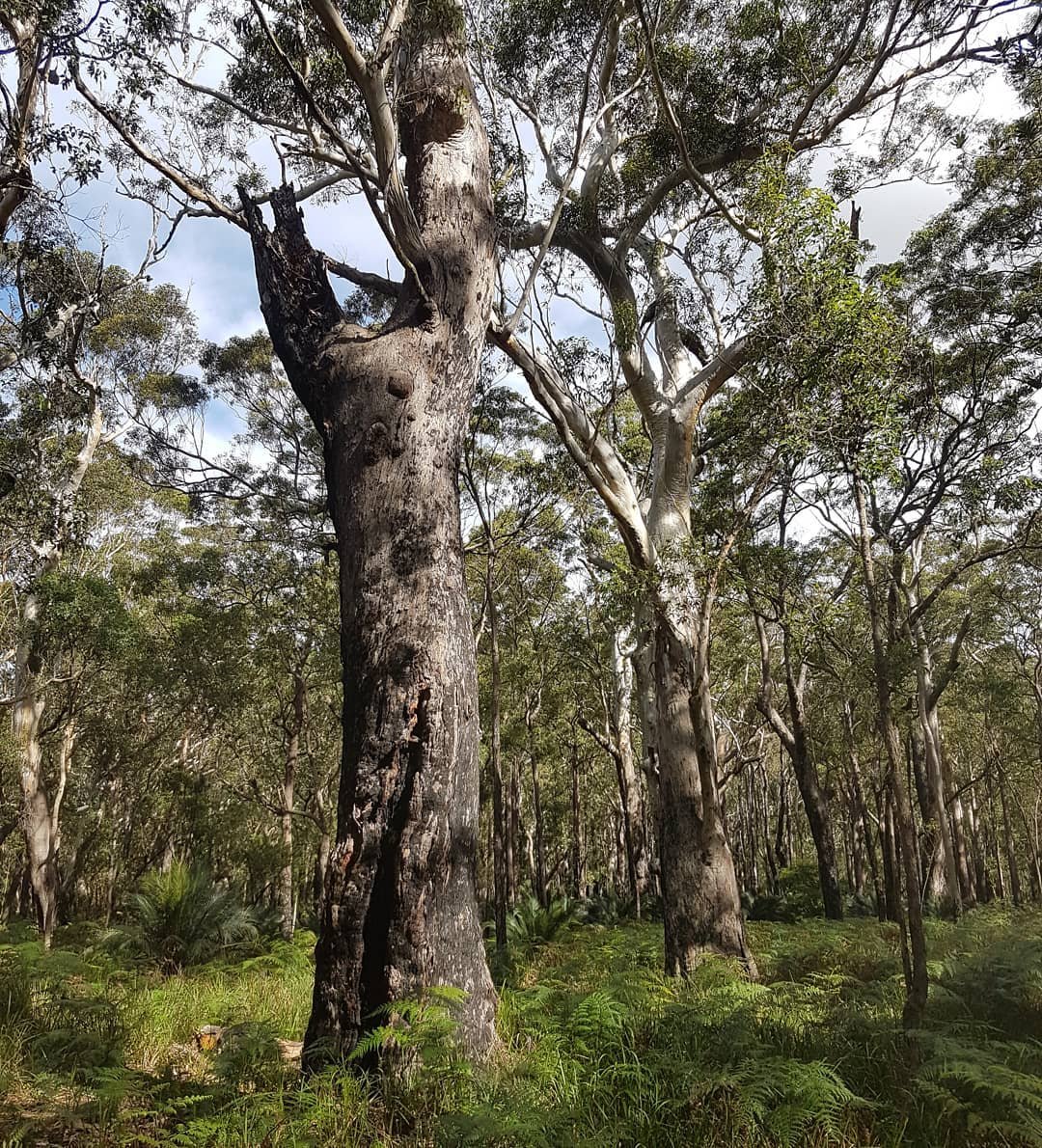 Seven Mile Beach National Park