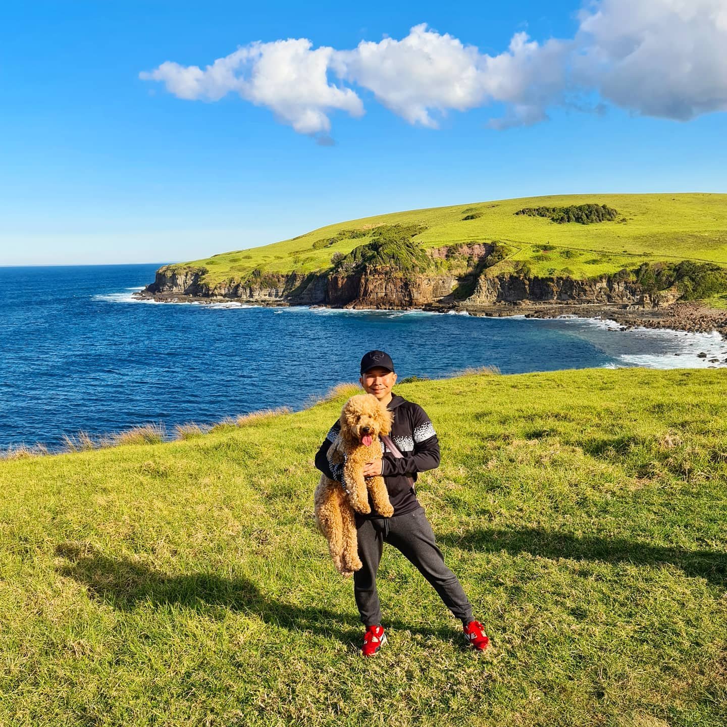 Everything you need to know for a pet friendly holiday Destination Kiama