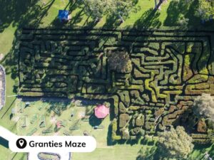 aerial shot of hedge maze - Granties Maze and Fun Park
