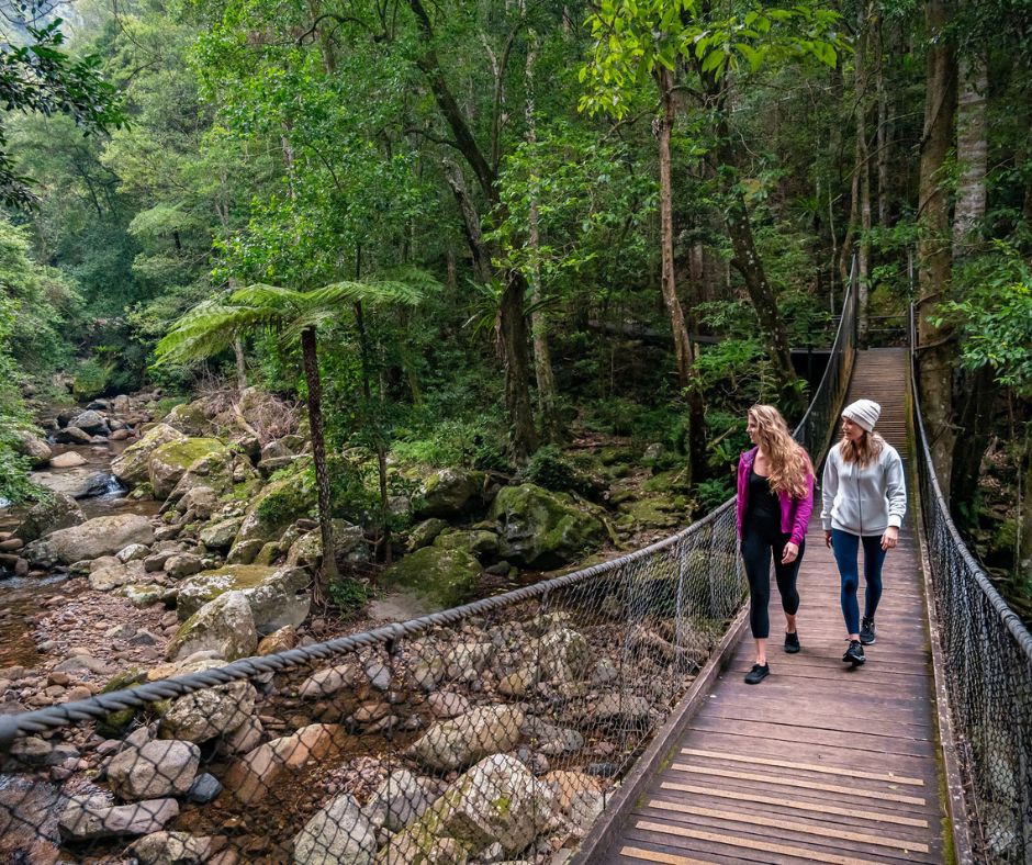 Minnamurra Rainforest