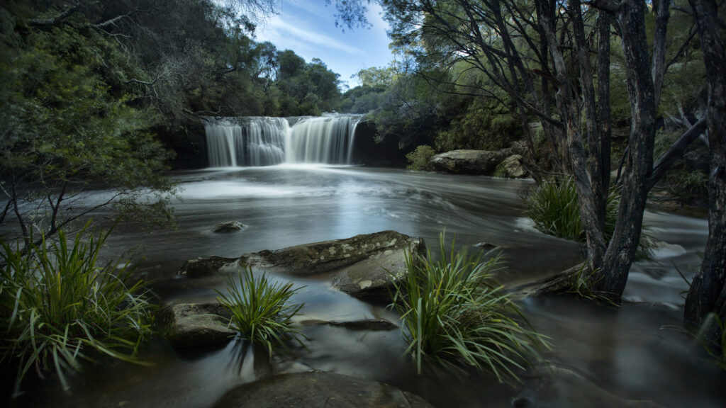 Nellies Glen