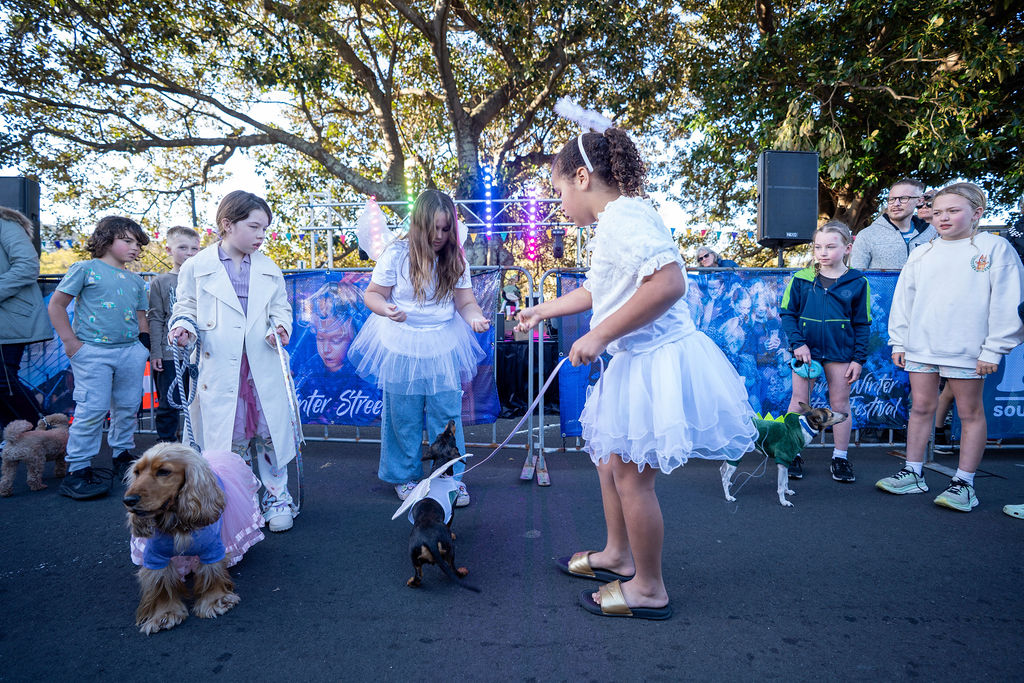 Winter Street Festival