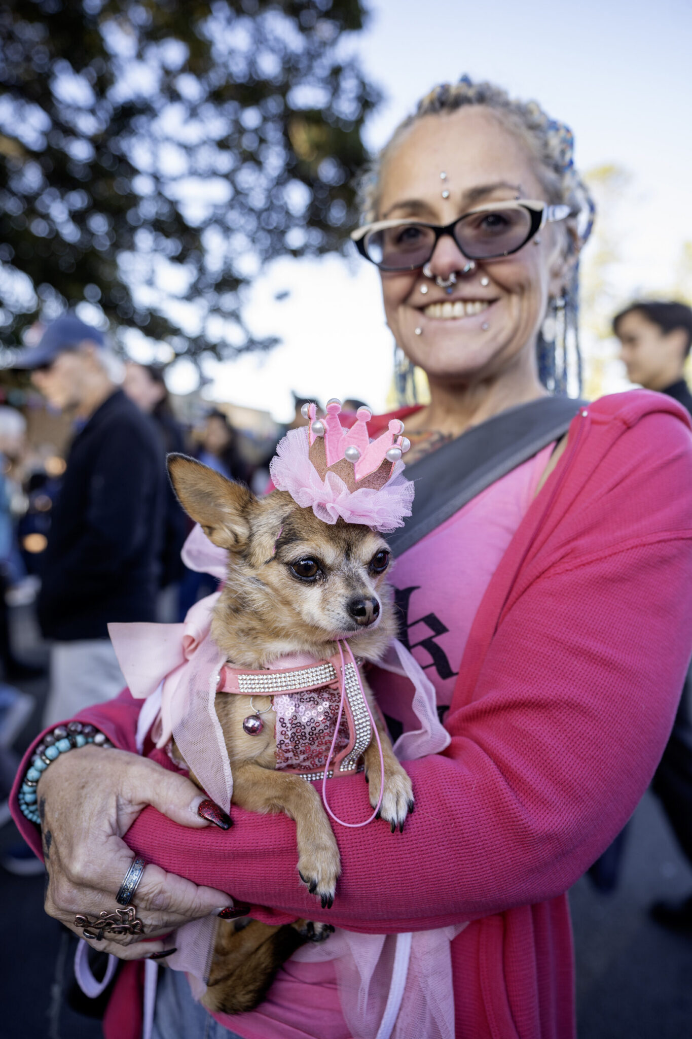 Flinders Pet Best Dressed Dog Parade