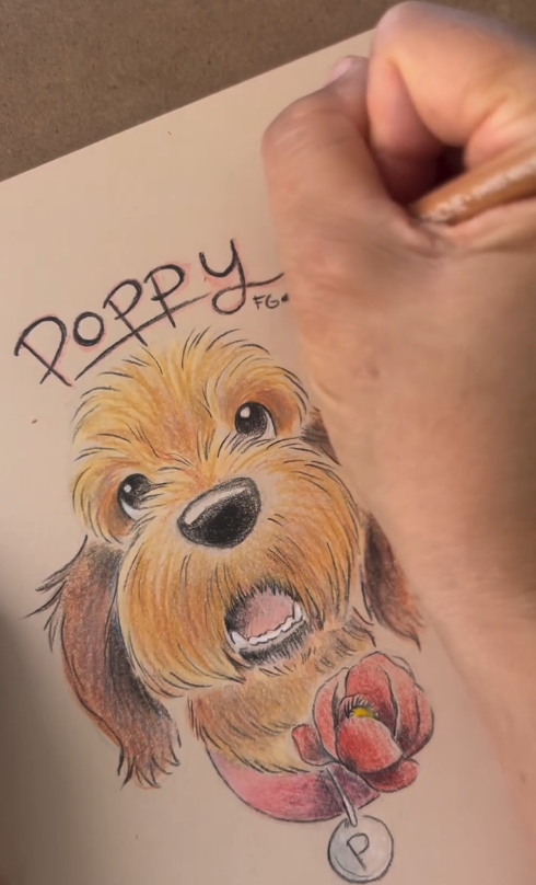 Pet Portraits