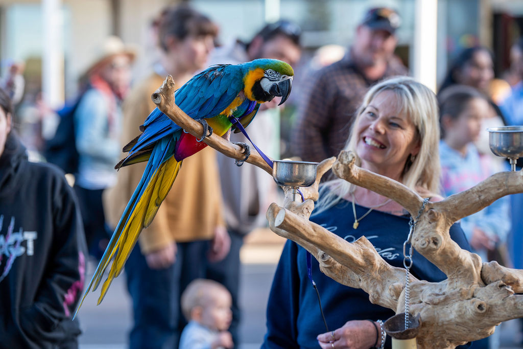 Kiama Winter Street Festival 2026