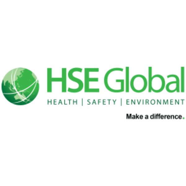 HSE Global logo