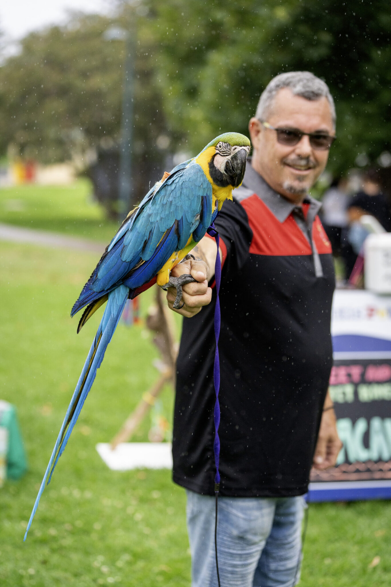Kiama NYE celebration photograph